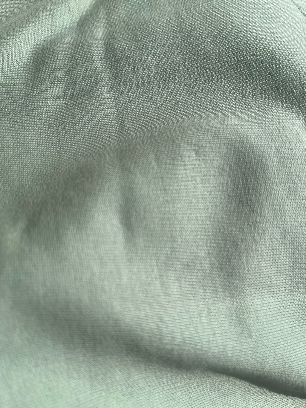 The Soft Sage Oversized Tee